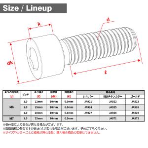 チタンボルト M6×20mm P1.0 キャッ...の詳細画像1