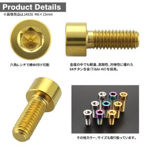 チタンボルト M6×20mm P1.0 キャッ...の詳細画像2