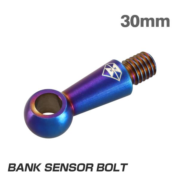 バンクセンサーボルト 汎用 30mm M8 ステンレス製 焼きチタンカラー S-1059