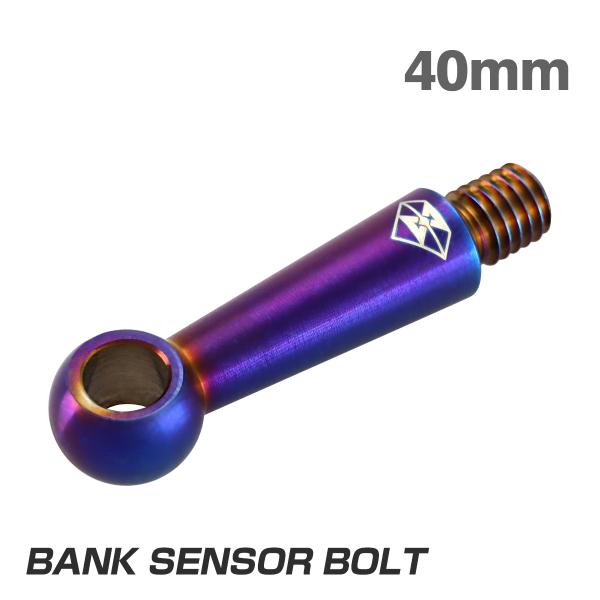 バンクセンサーボルト 汎用 40mm M8 ステンレス製 焼きチタンカラー S-1060