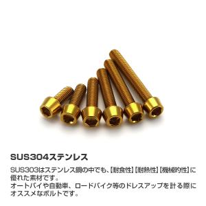 ステンレスボルト M5×20mm P0.8 テ...の詳細画像1