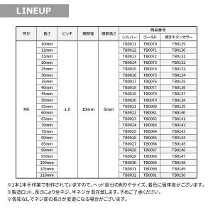 ステンレスボルト M6×10mm P1.0 テ...の詳細画像2