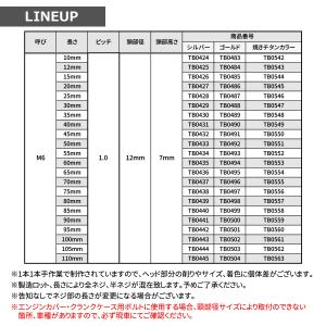 ステンレスボルト M6×25mm P1.0 六...の詳細画像2