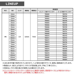 ステンレスボルト M6×20mm P1.0 六...の詳細画像2