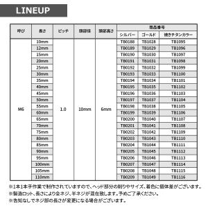 ステンレスボルト M6×20mm P1.0 ス...の詳細画像2