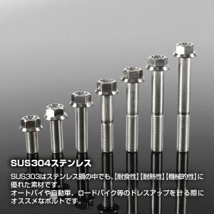 ステンレスボルト M10×40mm P1.25...の詳細画像1