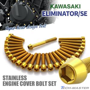 TECHーMASTER エリミネーター/SE エンジンカバー クランクケース