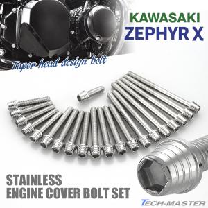 TECHーMASTER（テックマスター） ゼファーχ カイ エンジンカバー