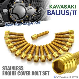 TECHーMASTER（テックマスター） バリオス/II BALIUS エンジンカバー