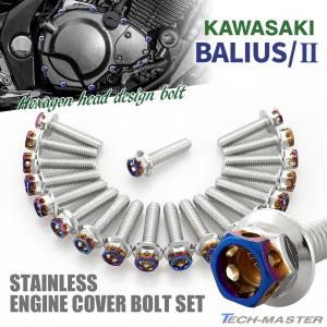 バリオス/II BALIUS エンジンカバー クランクケース ボルト 19本セット ステンレス製 カワサキ車用 シルバー×焼きチタンカラー TB8234｜tmst