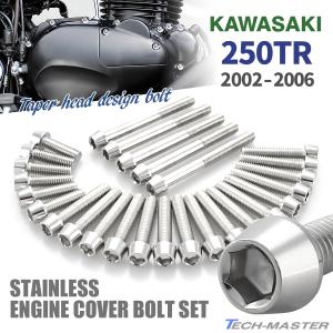 250TR 2002年〜2006年 エンジンカバー クランクケース