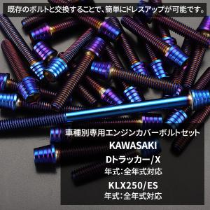 Dトラッカー/X KLX250/ES エンジン...の詳細画像1