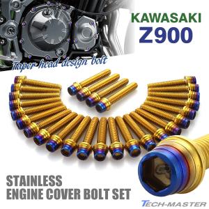 TECHーMASTER（テックマスター） Z900 2018年〜 エンジンカバー