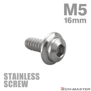 ステンレスネジ タッピングビス M5×16mm 六角穴 ステップヘッド シルバーカラー 1個 TC0033