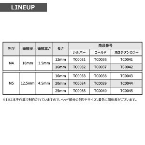 ステンレスネジ M5×25mm タッピングビス...の詳細画像1