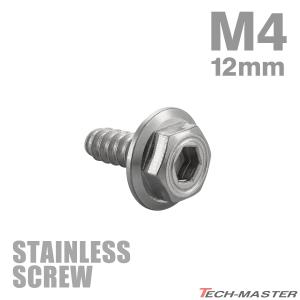 ステンレスネジ M4×12mm タッピングビス ...の商品画像