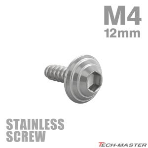 ステンレスネジ M4×12mm タッピングビス 六角穴 シェルヘッド シルバーカラー 1個 TC0076