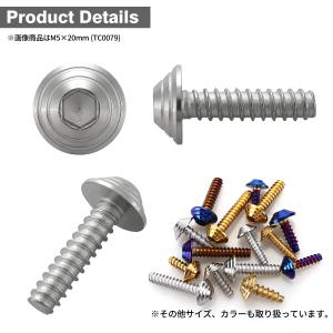 ステンレスネジ M4×16mm タッピングビス...の詳細画像2