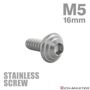 ステンレスネジ M5×16mm タッピングビス 六角穴 シェルヘッド シルバーカラー 1個 TC0078