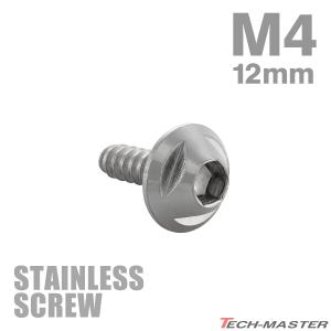 ステンレスネジ M4×16mm タッピングビス 六角穴 ステップヘッド