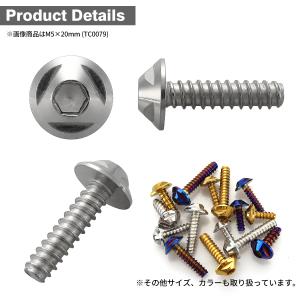 ステンレスネジ M5×16mm タッピングビス...の詳細画像2
