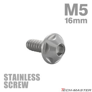 ステンレスネジ M5×16mm タッピングビス 六角穴 シンヘキサゴンヘッド