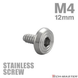 ステンレスネジ M4×12mm タッピングビス 六角穴 フラットシェルヘッド シルバーカラー 1個 TC0151