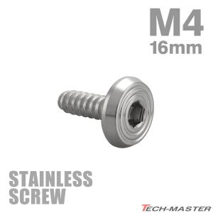 ステンレスネジ M4×16mm タッピングビス 六角穴 フラットシェルヘッド シルバーカラー 1個 TC0152