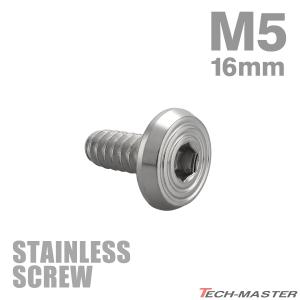 mmペ—ジ　5枚 ステンレスネジ タッピングビス M5×16mm 六角穴 ステップヘッド