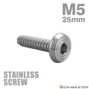 ステンレスネジ M5×25mm タッピングビス 六角穴 フラットシェルヘッド