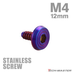 ステンレスネジ タッピングビス M5×16mm 六角穴 ステップヘッド