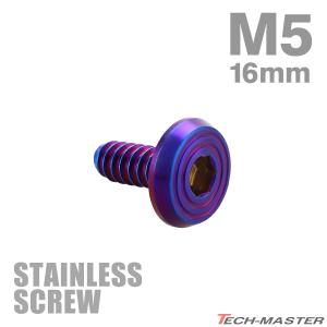 ステンレスネジ M5×16mm タッピングビス 六角穴 シンヘキサゴンヘッド