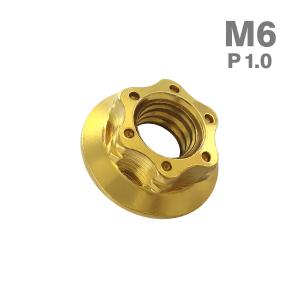 ステンレスナット M6 P1.0 六角ナット デザインナット スターホールナット ゴールドカラー TF0042｜tmst