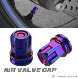 エアバルブキャップ タイヤ バルブキャップ 2個入り ステップホール ステンレス製 焼きチタンカラー TH0519｜TECH-MASTER バイクテン