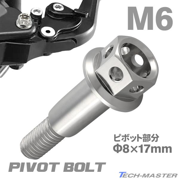 バイク ハンドル レバーボルト ピボットボルト Φ8×17mm M6×13mm ステンレス シルバー...
