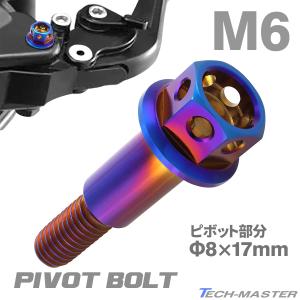 バイク ハンドル レバーボルト ピボットボルト Φ8×17mm M6×13mm バイク ハンドル レバーボルト ピボットボルト Φ8×17mm M6×13mm