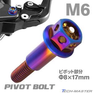 バイク ハンドル レバーボルト ピボットボルト Φ8×17mm M6×13mm ステンレス 焼きチタ...