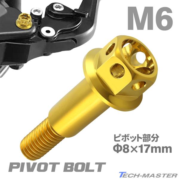 バイク ハンドル レバーボルト ピボットボルト Φ8×17mm M6×13mm ステンレス ゴールド...