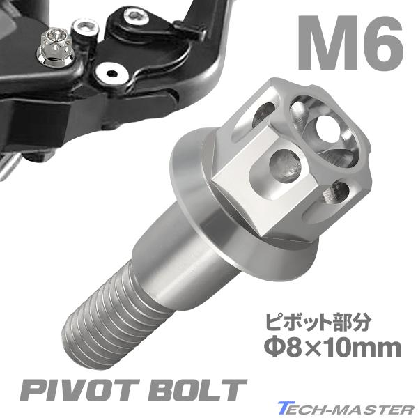 バイク ハンドル レバーボルト ピボットボルト Φ8×10mm M6×13mm ステンレス シルバー...