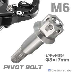 バイク ハンドル レバーボルト ピボットボルト Φ8×17mm M6×13mm