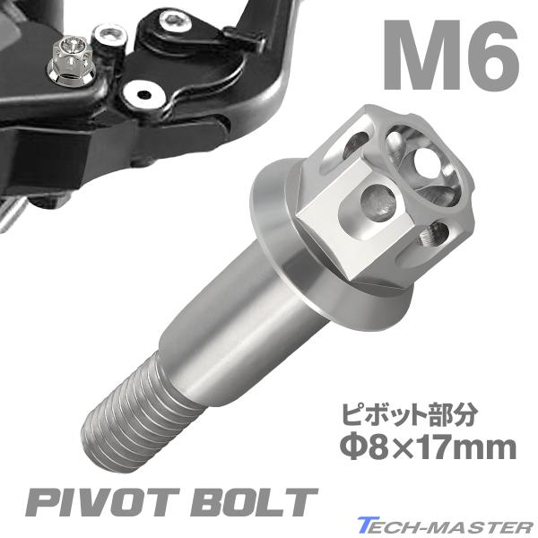 バイク ハンドル レバーボルト ピボットボルト Φ8×17mm M6×13mm ステンレス シルバー...