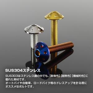 ステンレスボルト M5×12mm P0.8 ボ...の詳細画像2