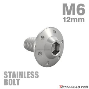 ステンレスボルト M6×12mm P1.0 ボタンボルト ステップホールヘッド シルバーカラー TR0177