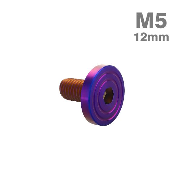 ステンレスボルト M5×12mm P0.8 マットタイプ シェルヘッド フラット 焼きチタンカラー ...