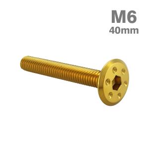 ステンレスボルト M6×40mm P1.0 ホールヘッド フラット ゴールドカラー TR0968