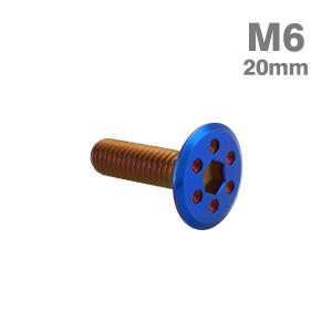 ステンレスボルト M6×20mm P1.0 ホールヘッド フラット 焼きチタンカラー TR0980