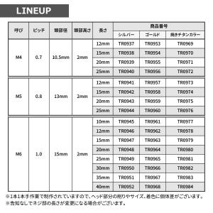 ステンレスボルト M6×20mm P1.0 ホ...の詳細画像1