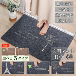 玄関マット おしゃれ 屋内 外用 風水 40×60 洗える ラグ