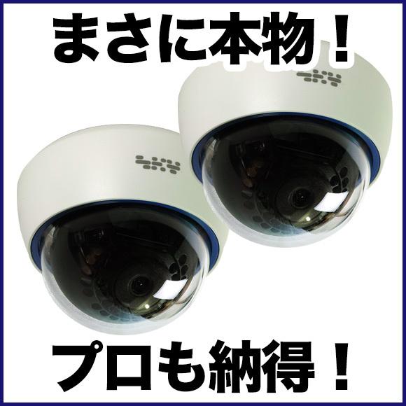 ダミー 防犯カメラ 屋内 ドーム 2台セット