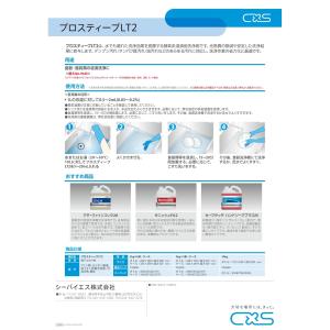 C×S シーバイエス プロスティープLT2 1...の詳細画像2